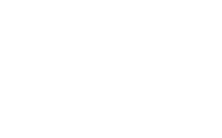 Viking Truck